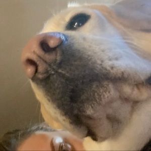 Meet your Posher, Martina